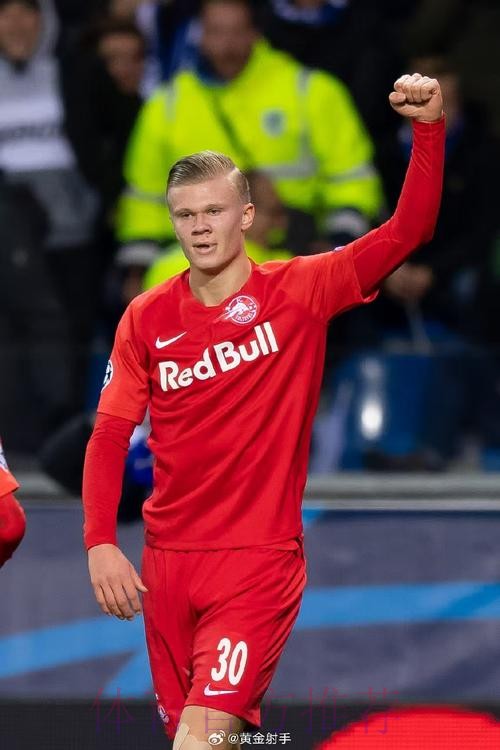 世界杯比利时哈兰德赛事预测全解析